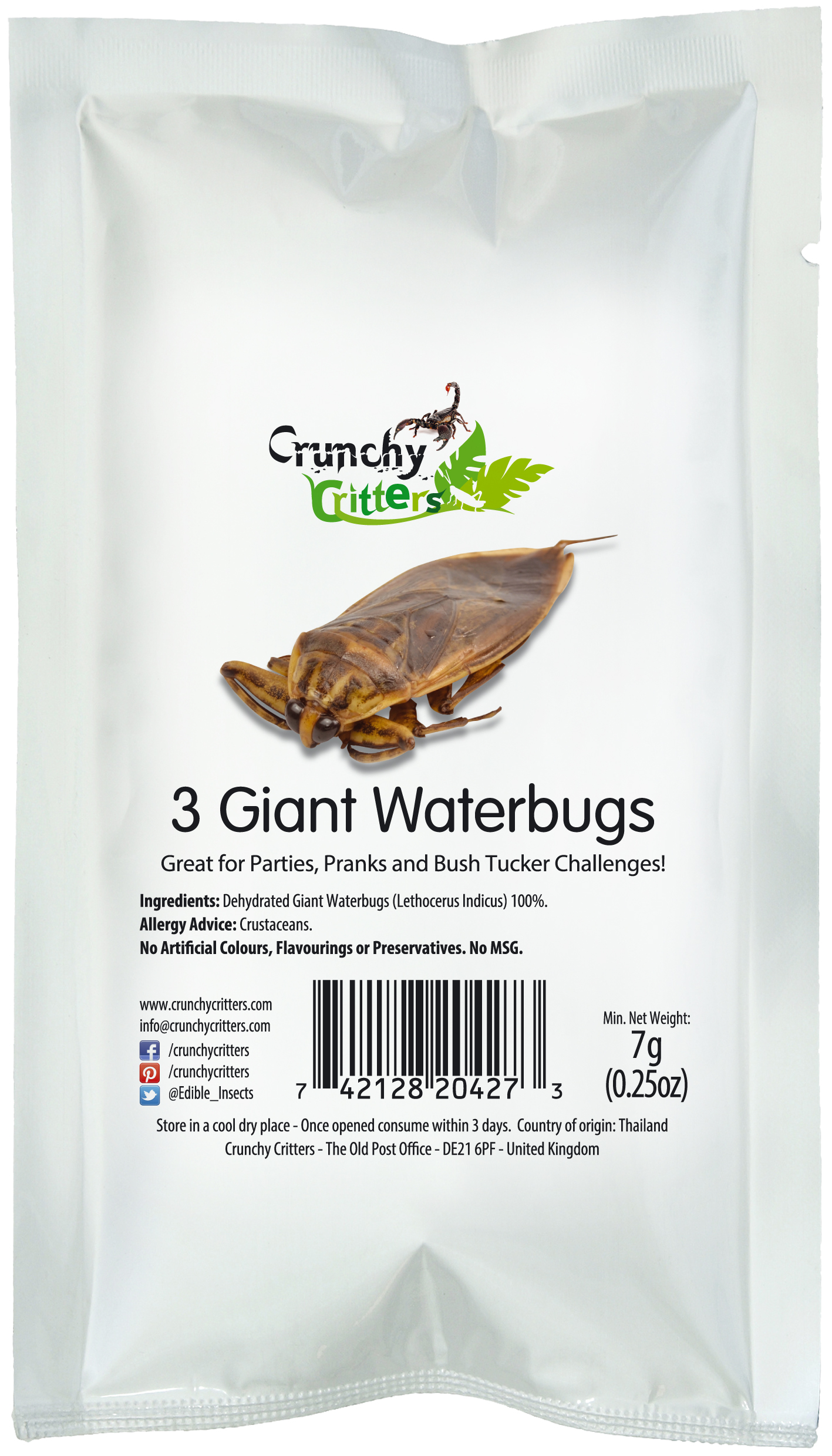 3 Giant Waterbugs