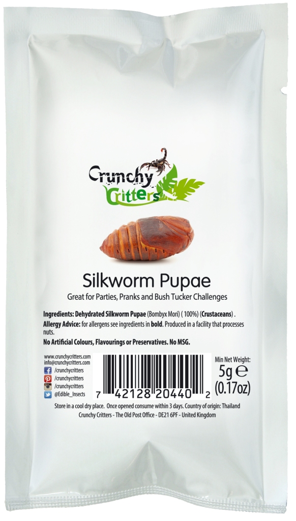 Silkworm Pupae