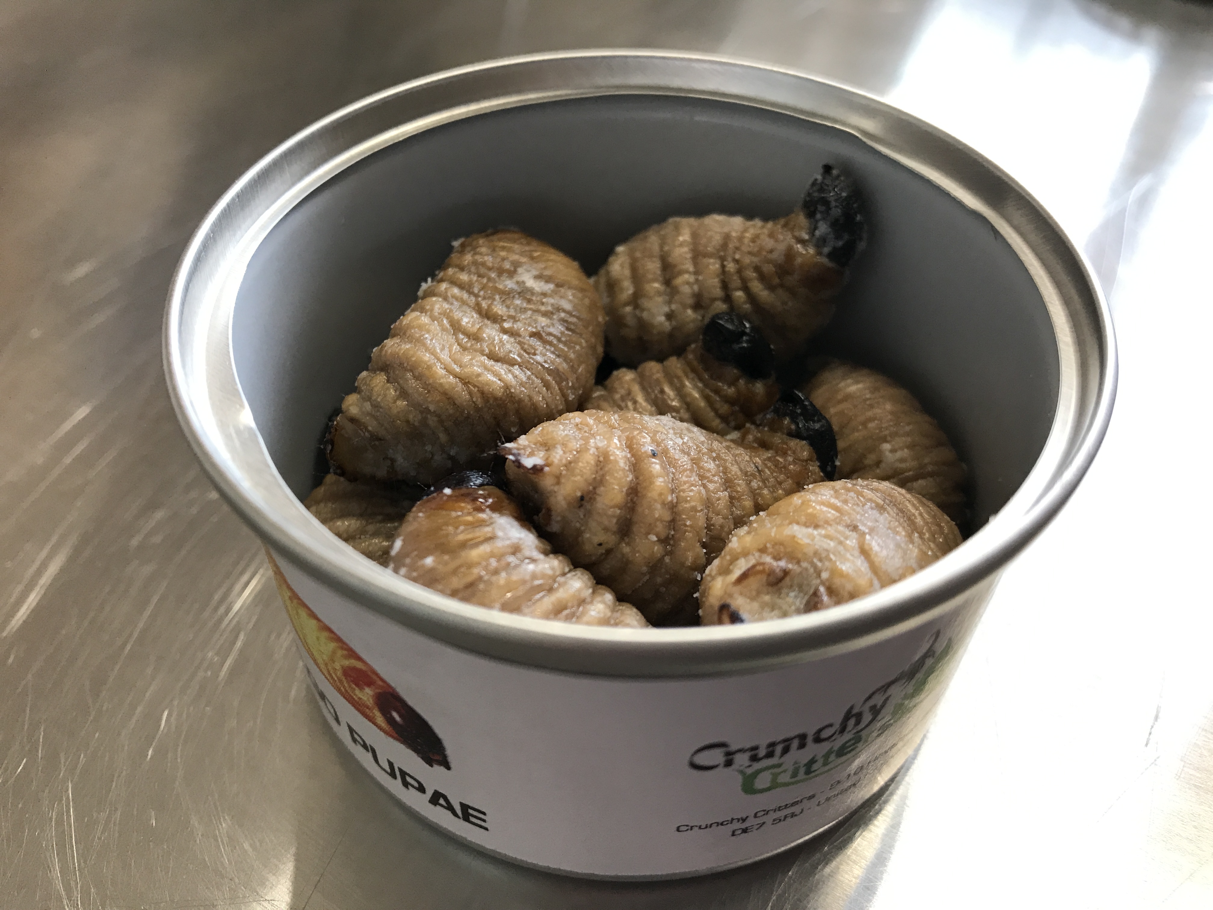 Canned Sago Worms in brine (4) Crunchy Critters